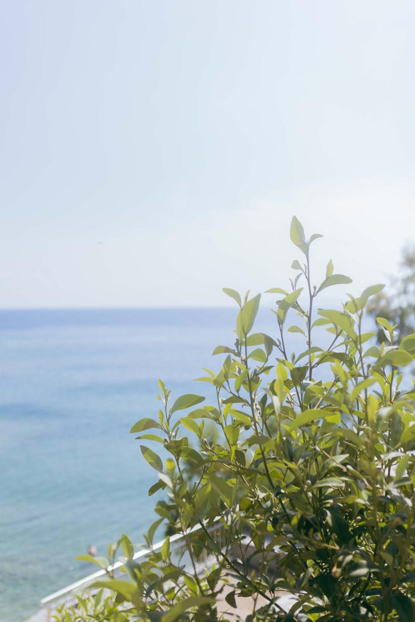 Peninsula Resort & Spa Agia Pelagia  Exterior foto